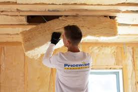 Best Eco-Friendly or Green Insulation Solutions  in Breinigsville, PA