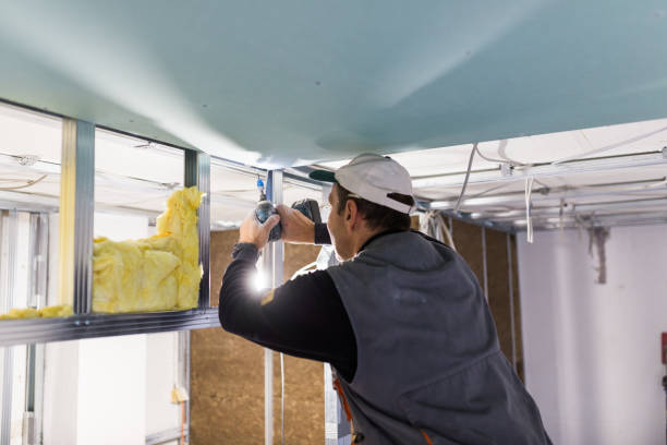 Best Batt and Roll Insulation  in Breinigsville, PA