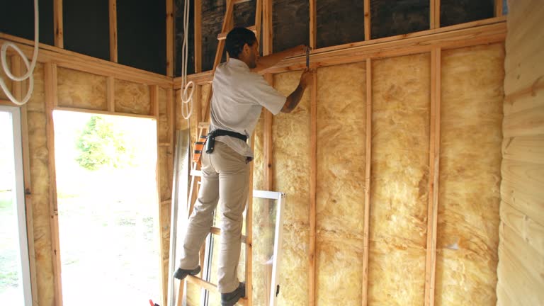 Best Basement Insulation  in Breinigsville, PA